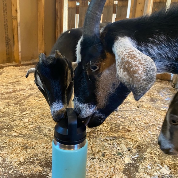 Meet your Posher, K - Picture 1 of 1